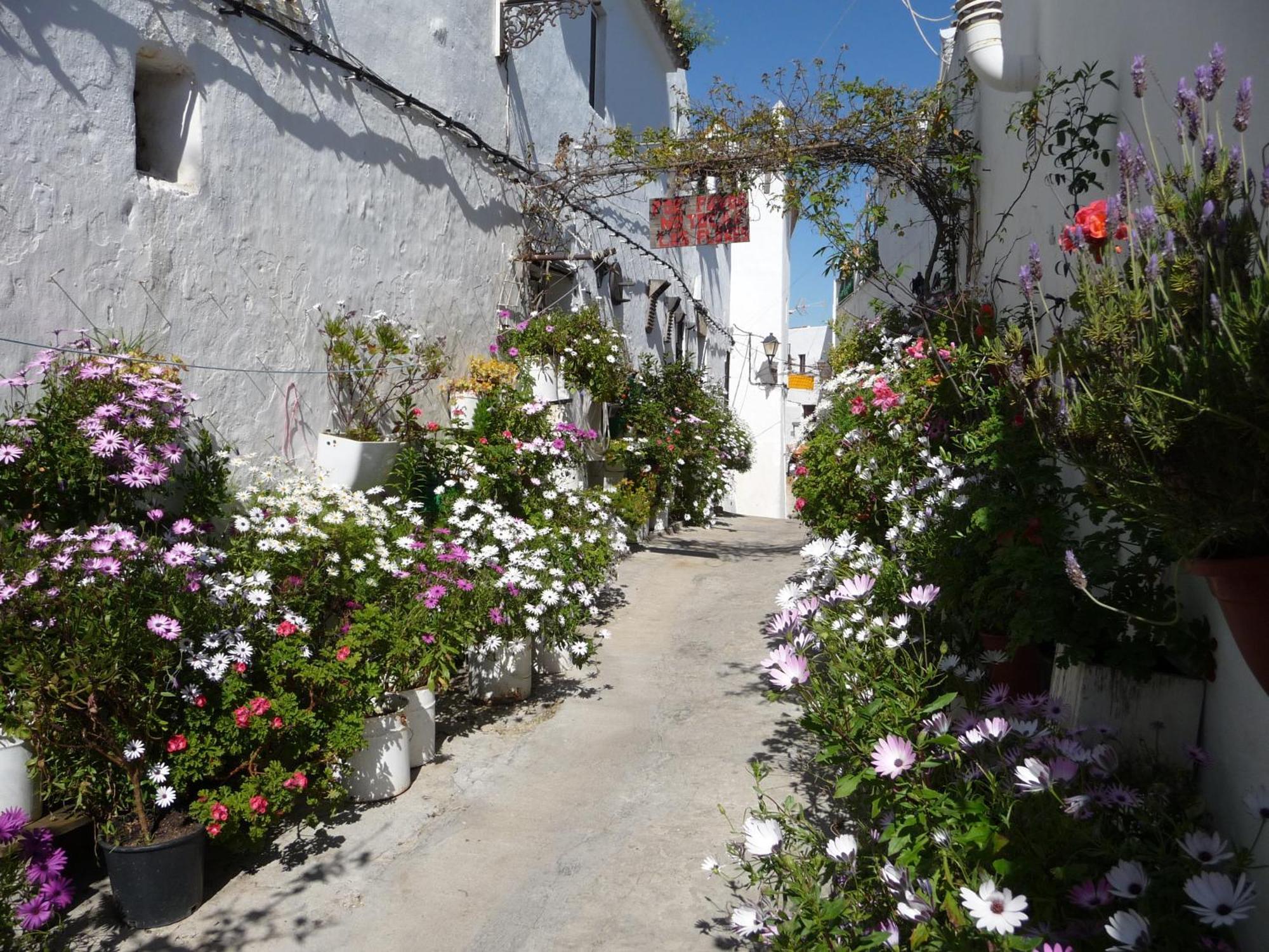 Vivienda Turistica De Alojamiento Rural Silla Vieja Vejer de la Frontera Eksteriør billede