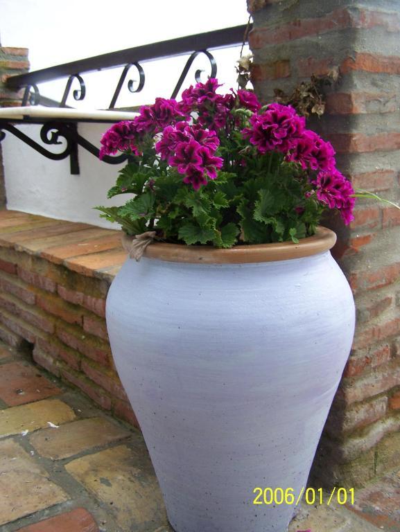Vivienda Turistica De Alojamiento Rural Silla Vieja Vejer de la Frontera Eksteriør billede
